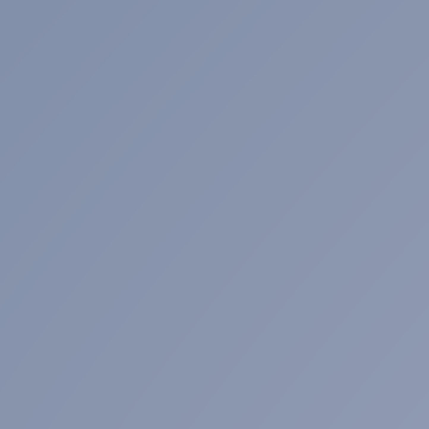 Schanskorf diameter 47 cm MW 5 x 5 cm rond