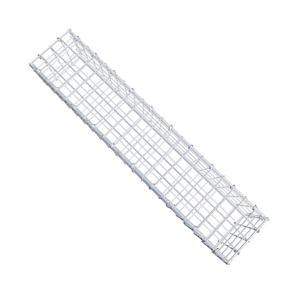 Gabion 100 cm x 20 cm x 20 cm (L x H x P), mailles 5 cm x 5 cm, anneau en C