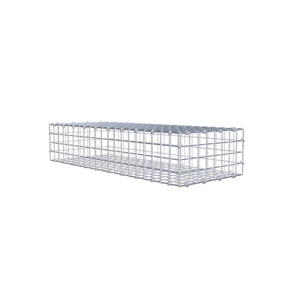 Schanskorf 100 cm x 20 cm x 40 cm (L x H x D), maaswijdte 5 cm x 5 cm, C-ring