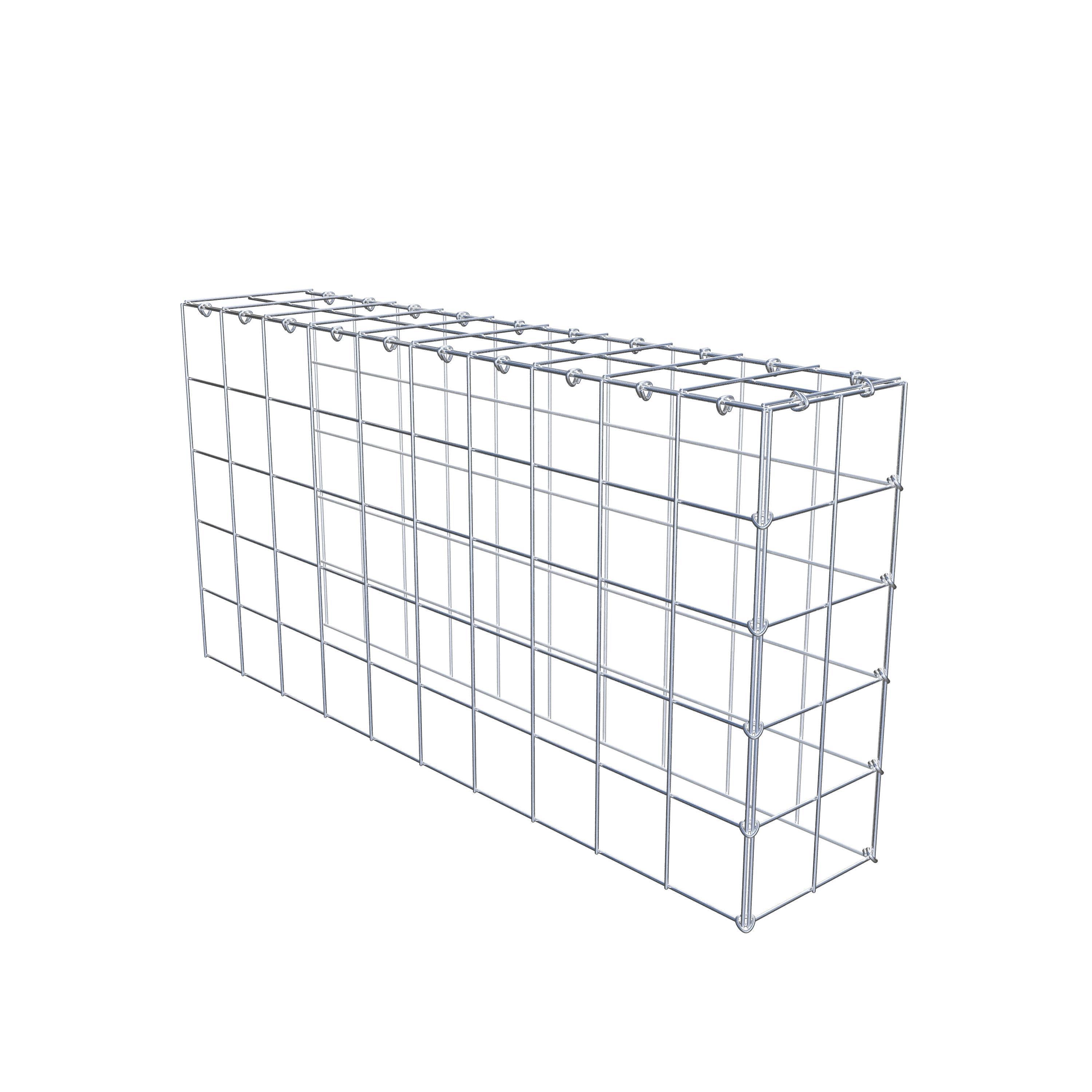 Monteret gabion type 4 100 cm x 50 cm x 20 cm (L x H x D), maskestørrelse 10 cm x 10 cm, C-ring