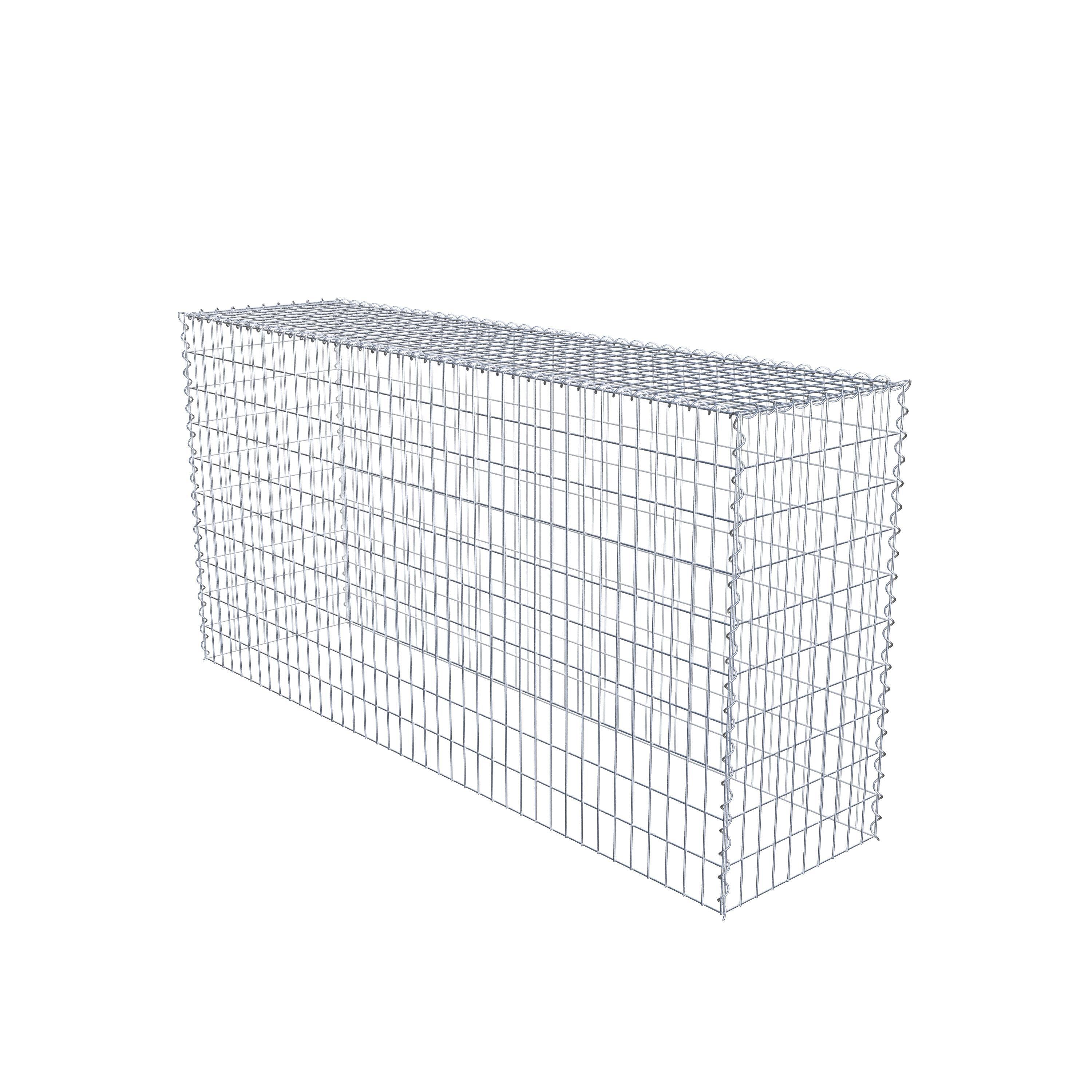 Grown-on gabion type 3 200 cm x 100 cm x 50 cm (L x H x D), mesh size 5 cm x 10 cm, spiral