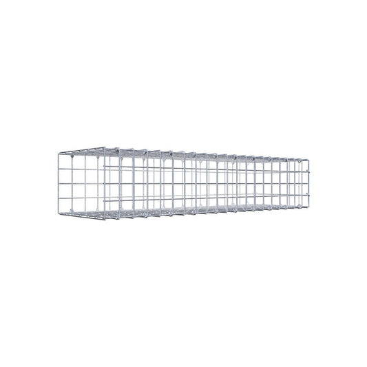 Gabione 05x05 100x020x030 Typ2 C-Ring