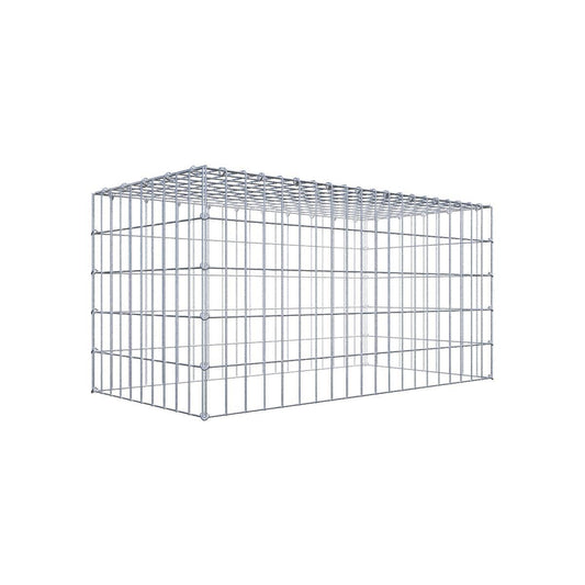 Gabione 05x10 100x050x050 Typ3 C-Ring