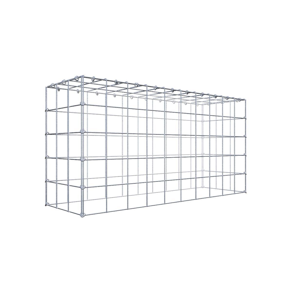 Gabione 10x10 100x050x030 Typ3 C-Ring