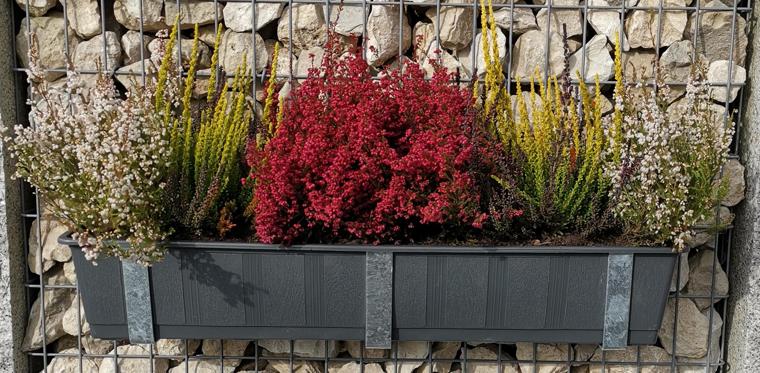 Galvanized flower box holder in a set of 3 including flower pot, for gabions MW 5 x 10