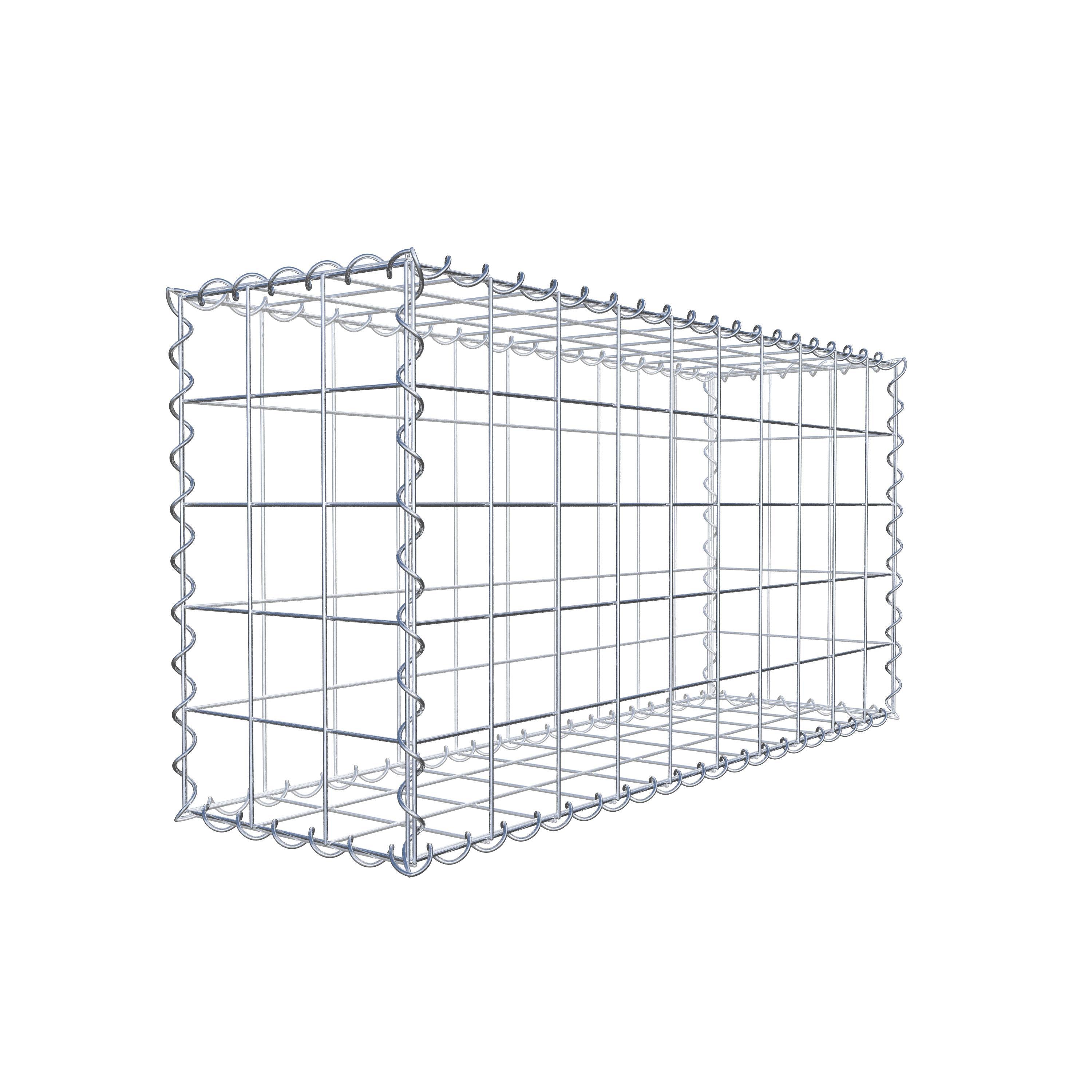 Lot de 2 gabions 100 cm x 50 cm x 30 cm (L x H x P), mailles 10 x 10 cm, spirale