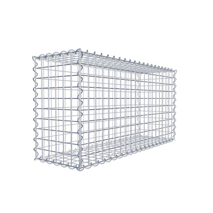 Lot de 2 gabions 100 cm x 50 cm x 30 cm (L x H x P), mailles 5 x 5 cm, spirale