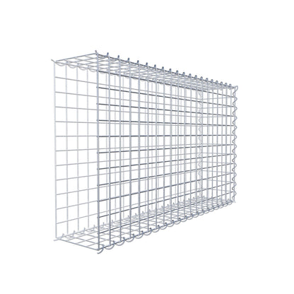Grown-on gabion type 2 100 cm x 60 cm x 20 cm (L x H x D), mesh size 5 cm x 5 cm, spiral