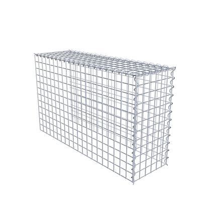 Påväxt gabion typ 4 100 cm x 60 cm x 30 cm (L x H x D), maskstorlek 5 cm x 5 cm, spiral