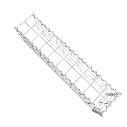 Grown-on gabion type 4 100 cm x 30 cm x 20 cm (L x H x D), mesh size 10 cm x 10 cm, spiral