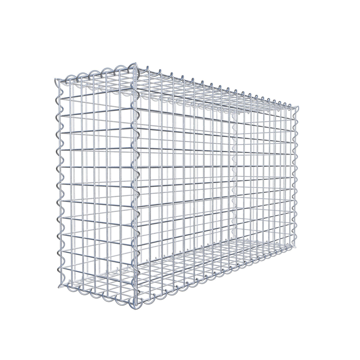 Gabion 100 cm x 60 cm x 30 cm (L x H x P), mailles 5 cm x 5 cm, spirale