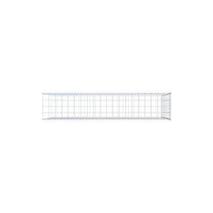 Grown-on gabion type 2 200 cm x 100 cm x 40 cm (L x H x D), mesh size 10 cm x 10 cm, spiral