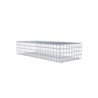 Mounted gabion type 2 100 cm x 20 cm x 40 cm (L x H x D), mesh size 5 cm x 5 cm, C-ring