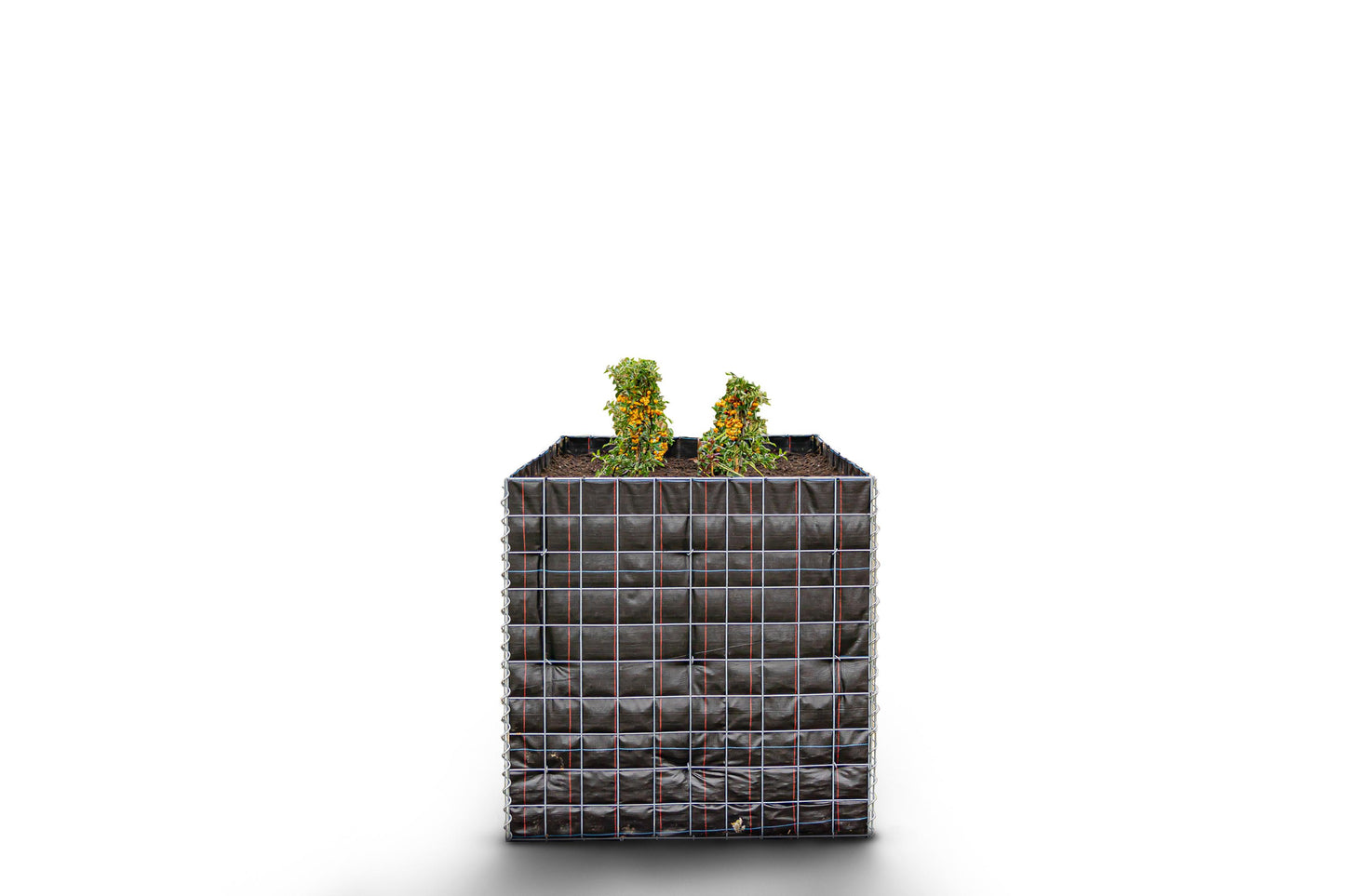Lecho elevado rectangular sin zona de piedras - Longitud: 100 cm - Altura: 100 cm - Profundidad: 60 cm - Luz de malla: 10 x 10 cm