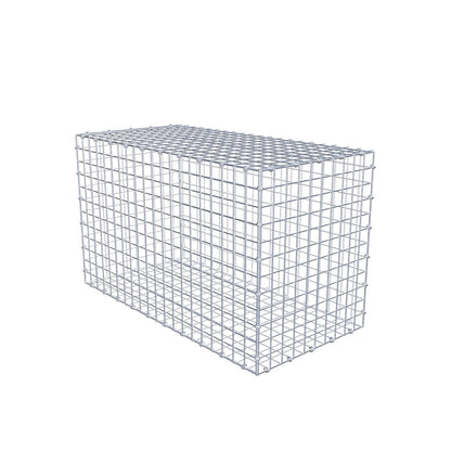 Gabione 100 cm x 60 cm x 50 cm (L x H x T), Maschenweite 5 x 5 cm, Spiralring