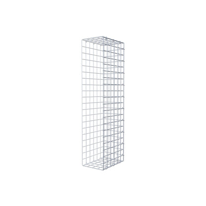 Extra gabion typ 2 100 cm x 30 cm x 20 cm (L x H x D), maskstorlek 5 cm x 5 cm, C-ring