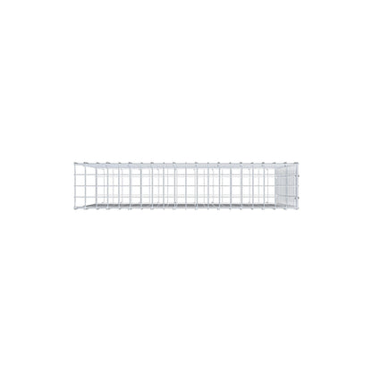 Type 2 oplegkorf 100 cm x 70 cm x 20 cm (L x H x D), maaswijdte 5 cm x 5 cm, C-ring