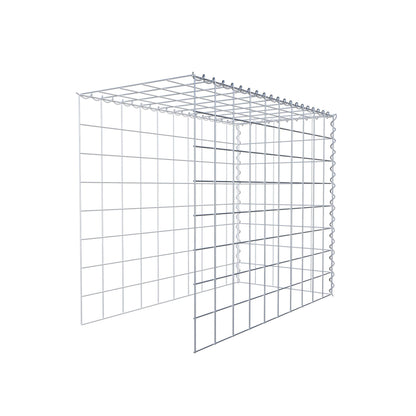 Grown-on gabion type 4 100 cm x 80 cm x 50 cm (L x H x D), mesh size 10 cm x 10 cm, spiral
