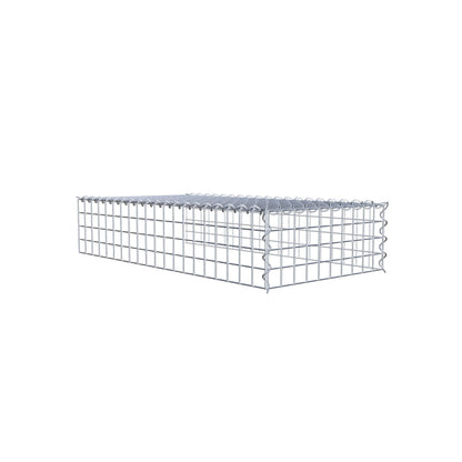 Grown-on gabion type 4 100 cm x 20 cm x 50 cm (L x H x D), mesh size 5 cm x 5 cm, spiral