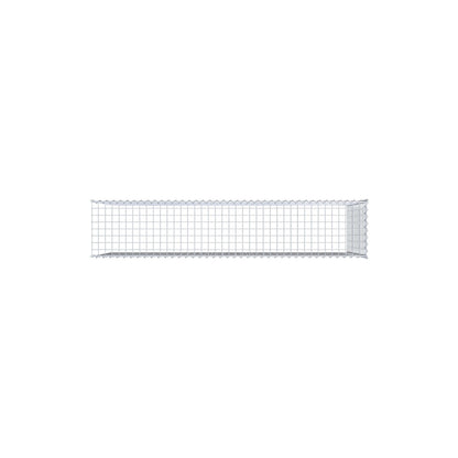 Grown-on gabion type 4 200 cm x 100 cm x 40 cm (L x H x D), mesh size 5 cm x 5 cm, spiral