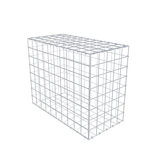 Gabion 100 cm x 80 cm x 50 cm (L x H x P), mailles 10 x 10 cm, anneau en spirale