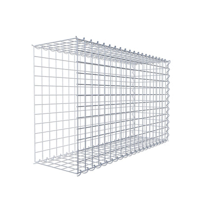 Opvokset gabion type 2 100 cm x 60 cm x 30 cm (L x H x D), maskestørrelse 5 cm x 5 cm, spiral