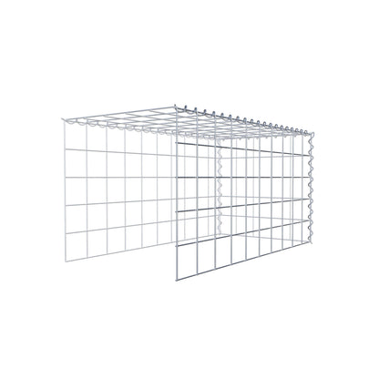 Grown-on gabion type 4 100 cm x 50 cm x 50 cm (L x H x D), mesh size 10 cm x 10 cm, spiral