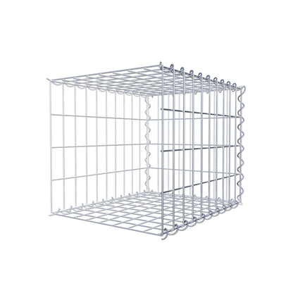 Grown-on gabion type 2 50 cm x 40 cm x 40 cm (L x H x D), mesh size 5 cm x 10 cm, spiral