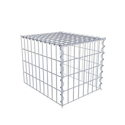 Grown-on gabion type 4 50 cm x 40 cm x 40 cm (L x H x D), mesh size 5 cm x 10 cm, spiral