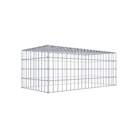Gabione 05x10 100x040x050 Typ3 C-Ring