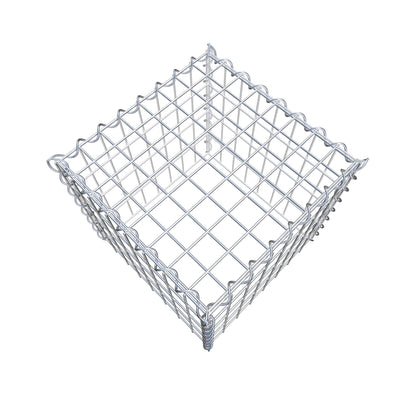 Grown-on gabion type 3 40 cm x 40 cm x 40 cm (L x H x D), mesh size 5 cm x 10 cm, spiral