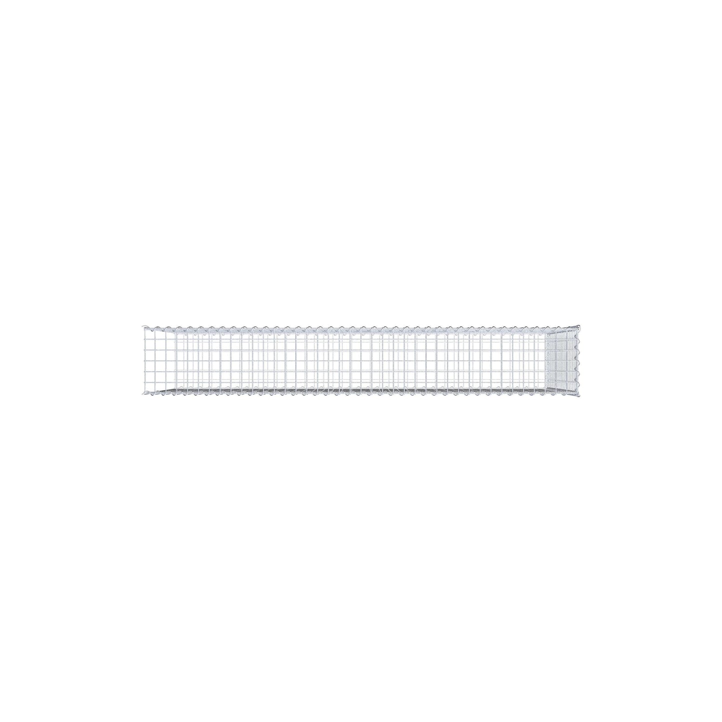 Grown-on gabion type 2 200 cm x 100 cm x 30 cm (L x H x D), mesh size 5 cm x 5 cm, spiral