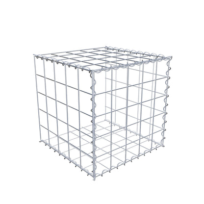 Grown-on gabion type 2 50 cm x 50 cm x 50 cm (L x H x D), mesh size 10 cm x 10 cm, spiral