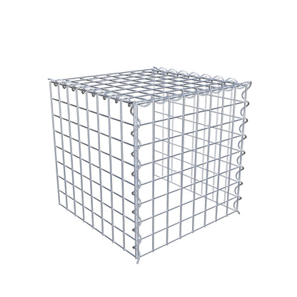 Grown-on gabion type 4 40 cm x 40 cm x 40 cm (L x H x D), mesh size 5 cm x 5 cm, spiral
