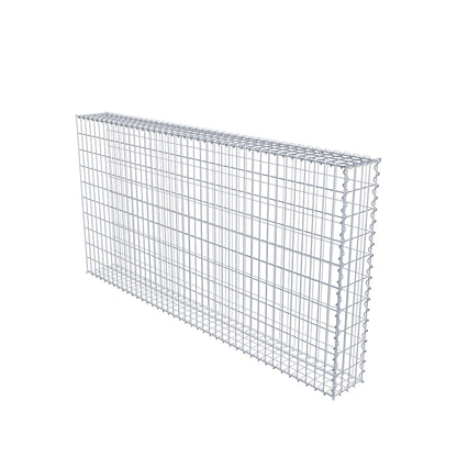 Opvokset gabion type 2 200 cm x 100 cm x 20 cm (L x H x D), maskestørrelse 5 cm x 10 cm, spiral