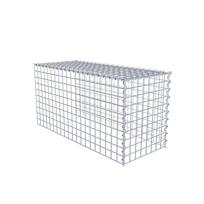 Grown-on gabion type 4 100 cm x 50 cm x 40 cm (L x H x D), mesh size 5 cm x 5 cm, spiral