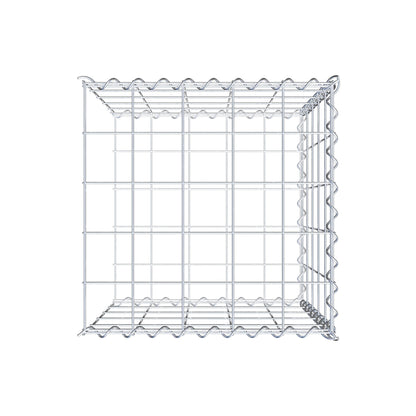 Grown-on gabion type 2 50 cm x 50 cm x 50 cm (L x H x D), mesh size 10 cm x 10 cm, spiral