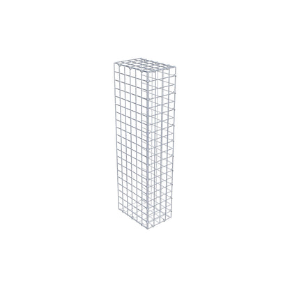 Extra gabion typ 2 100 cm x 30 cm x 20 cm (L x H x D), maskstorlek 5 cm x 5 cm, C-ring