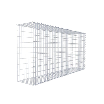 Grown-on gabion type 2 200 cm x 100 cm x 40 cm (L x H x D), mesh size 5 cm x 10 cm, spiral