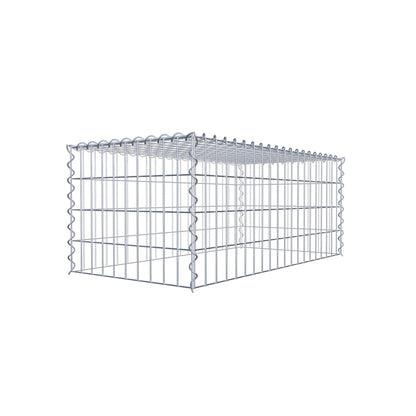 Grown-on gabion type 3 100 cm x 40 cm x 50 cm (L x H x D), mesh size 5 cm x 10 cm, spiral