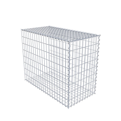 Grown-on gabion type 2 100 cm x 80 cm x 50 cm (L x H x D), mesh size 5 cm x 10 cm, spiral