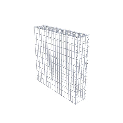 Grown-on gabion type 4 100 cm x 100 cm x 20 cm (L x H x D), mesh size 5 cm x 10 cm, spiral